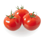 Fresh Tomato